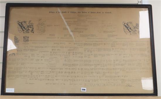 A framed copy of the Pedigree of the family of Taillefer, alias Borlase, of Borlase-Frank, Co. Cornwall family tree